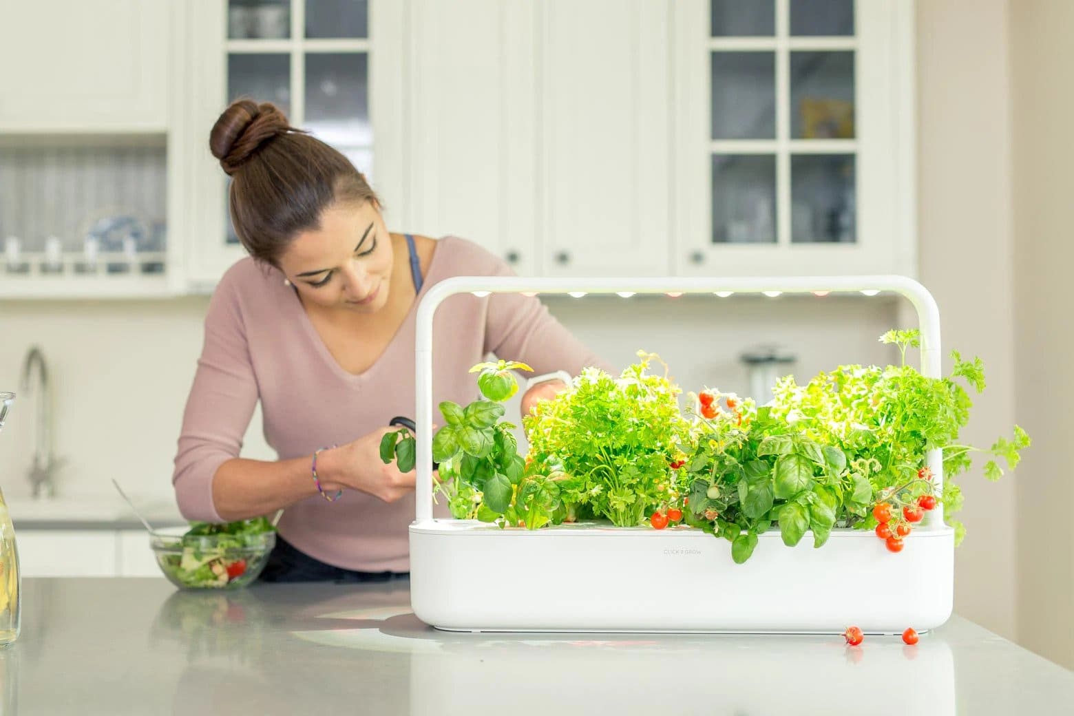 AeroGarden vs Click & Grow: Which is Better?