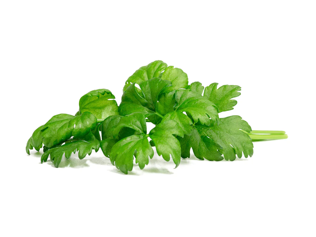 Click & Grow Plant Pods (Herbs)