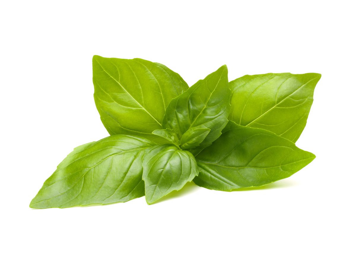 Click & Grow Plant Pods (Herbs)