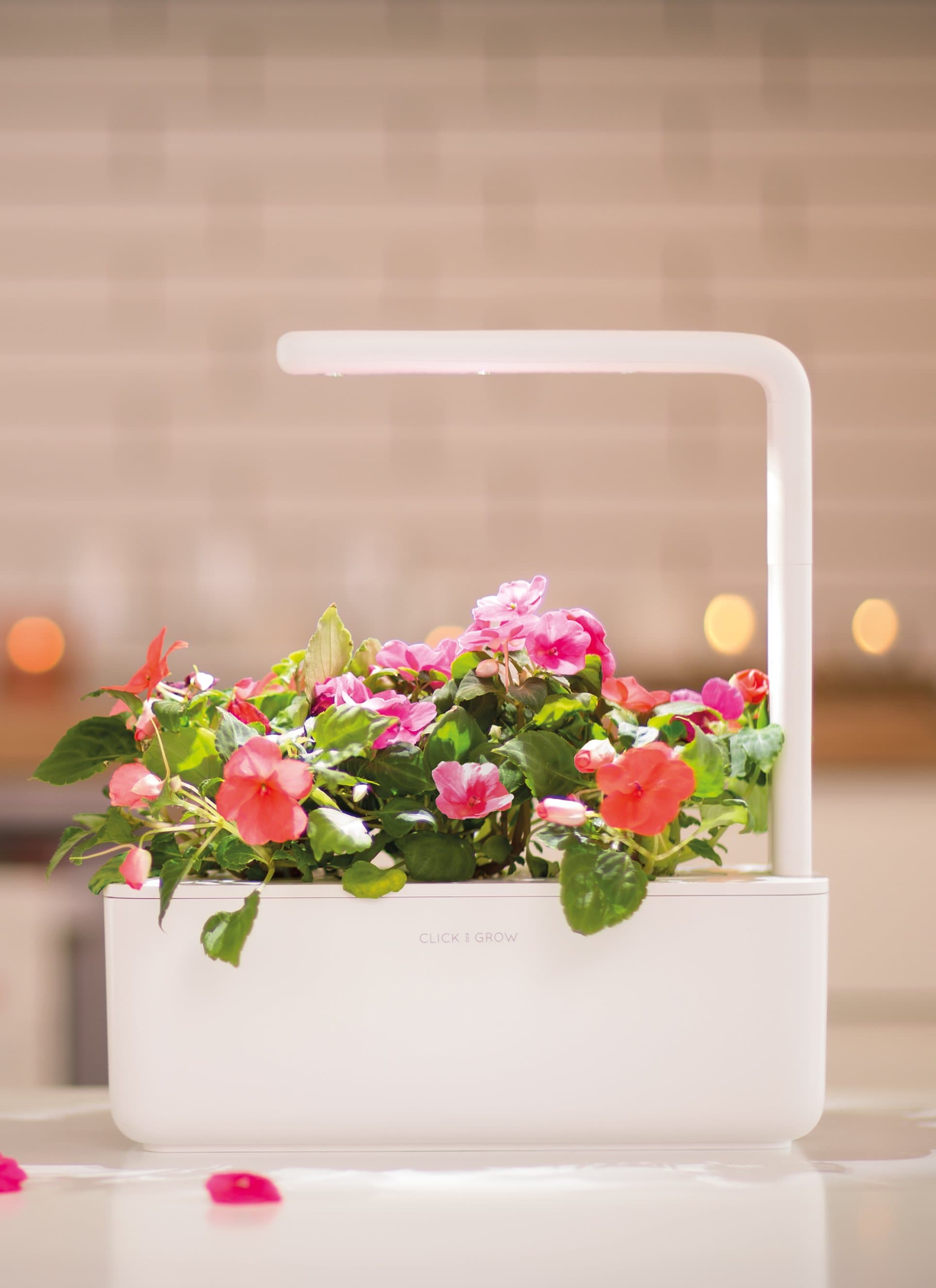 Click & Grow Smart Garden 3 - District