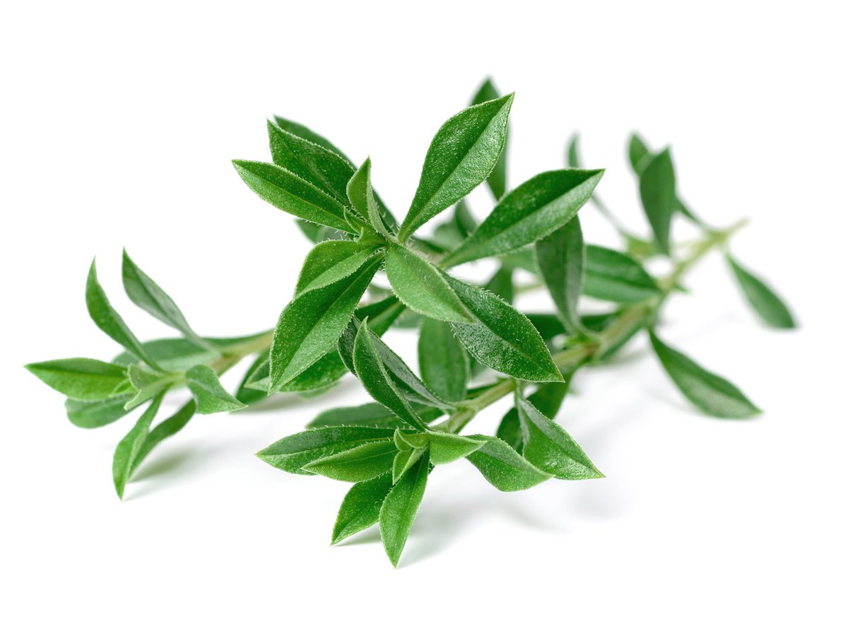 Click & Grow Plant Pods (Herbs)