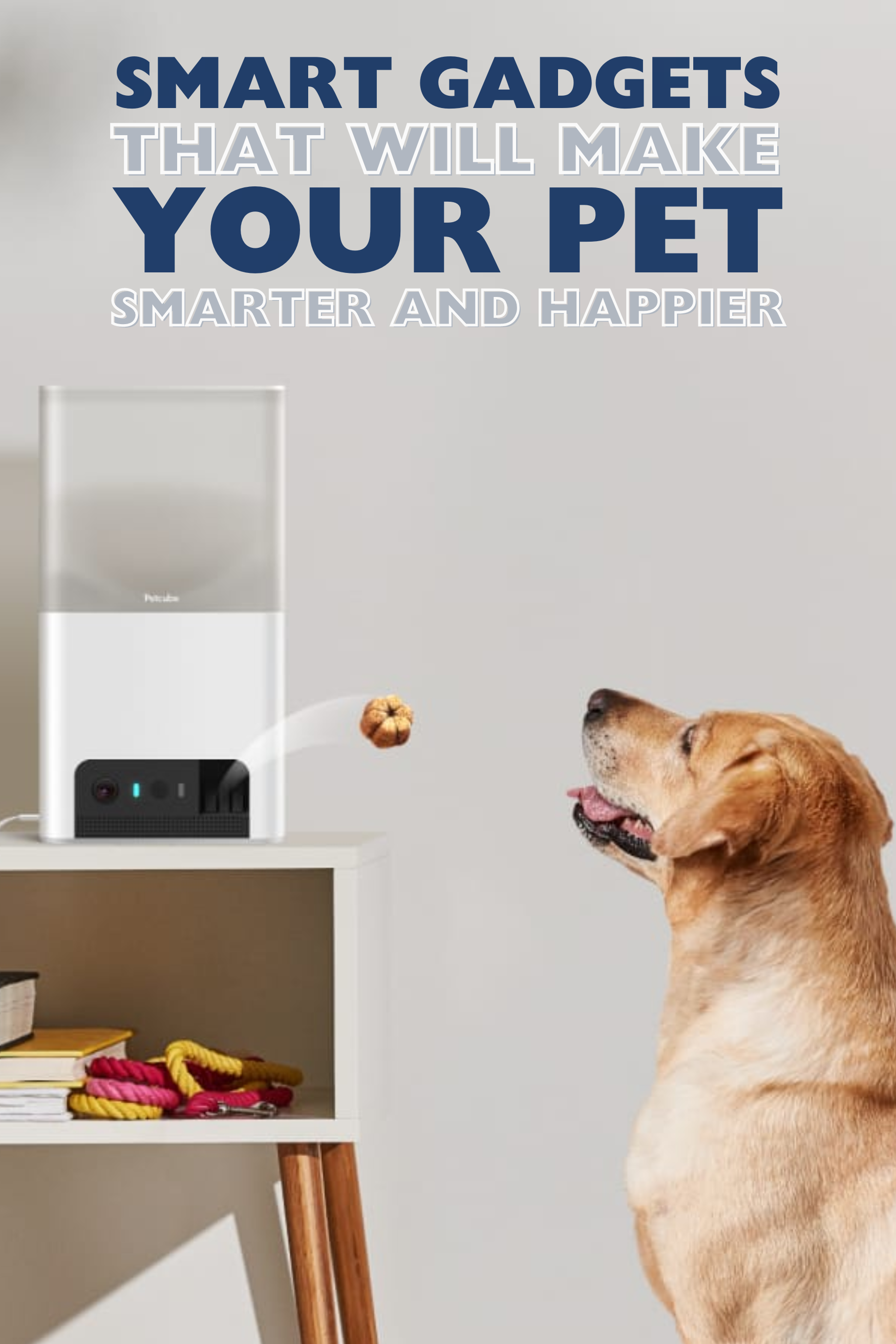 Smart Gadgets That Will Make Your Pet Happier