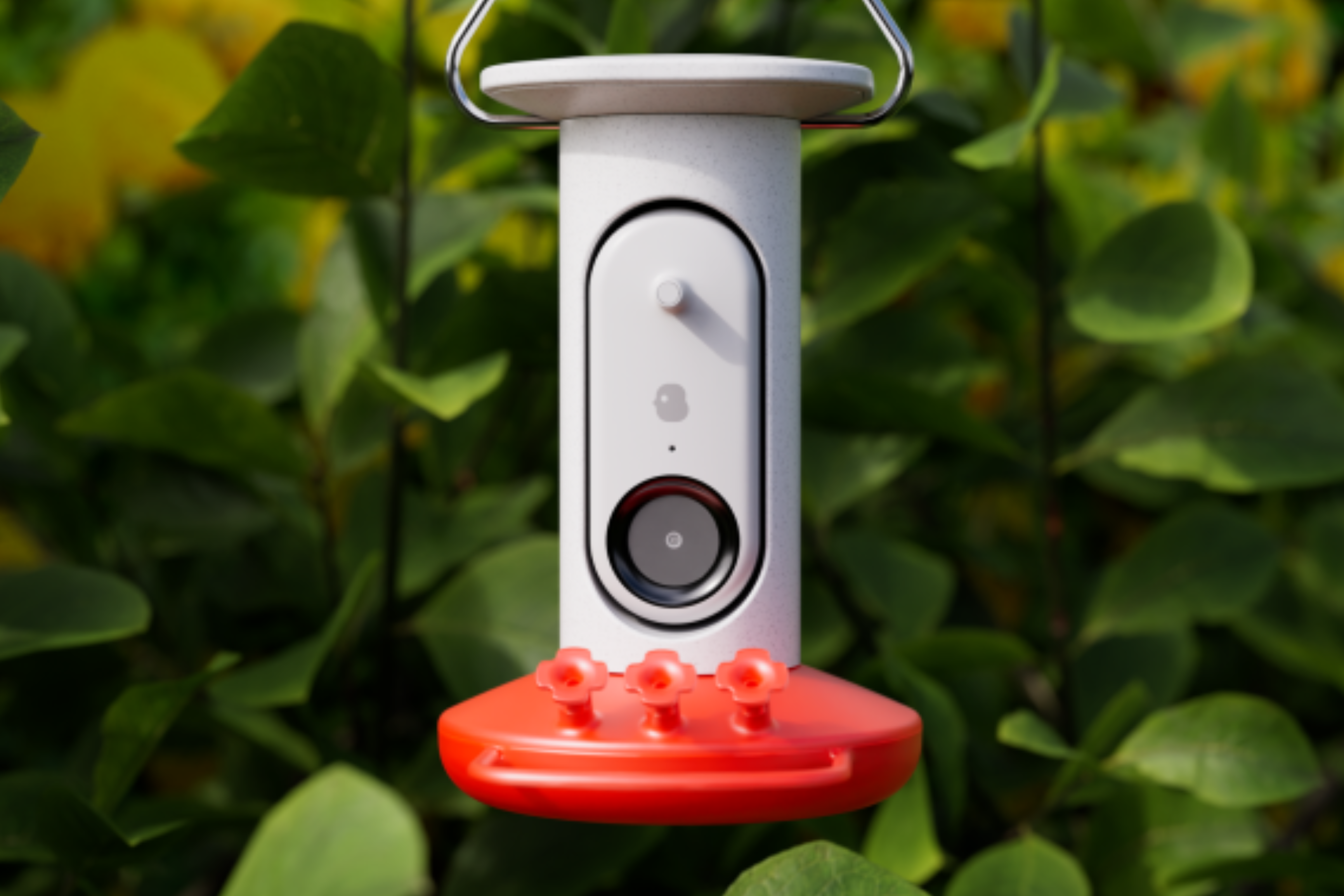 Bird Buddy Hummingbird Feeder