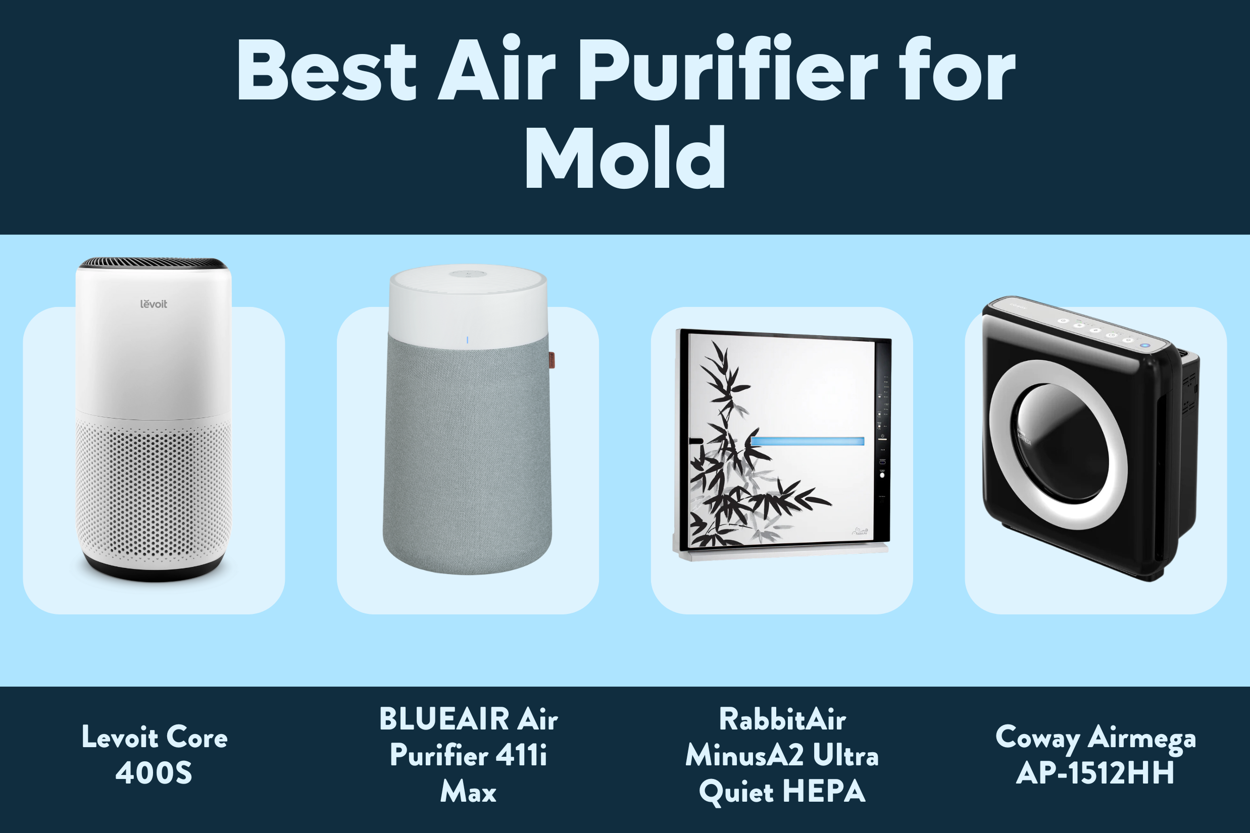 Best Air Purifier for Mold