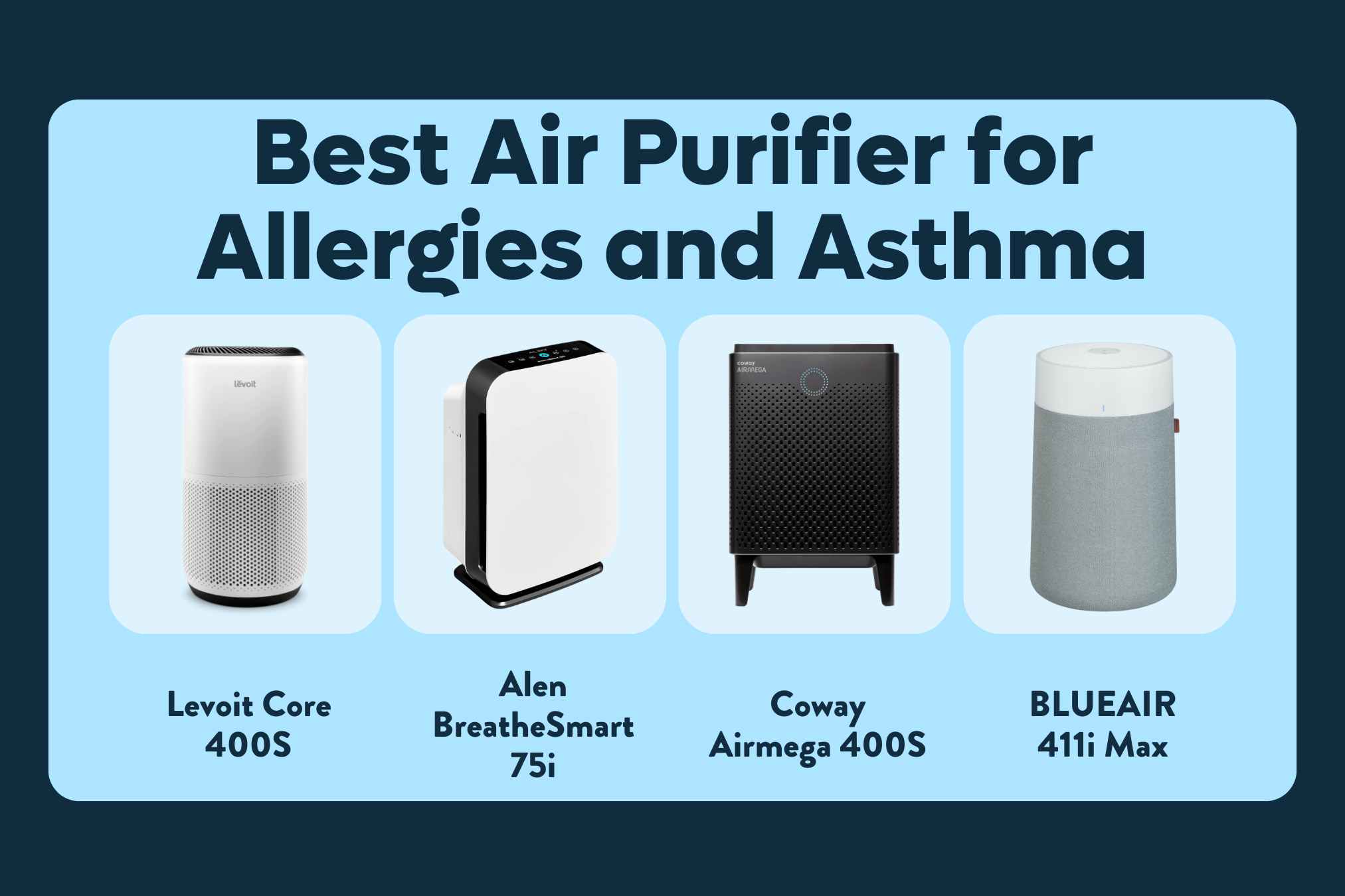 Best Air Purifier for Allergies and Asthma
