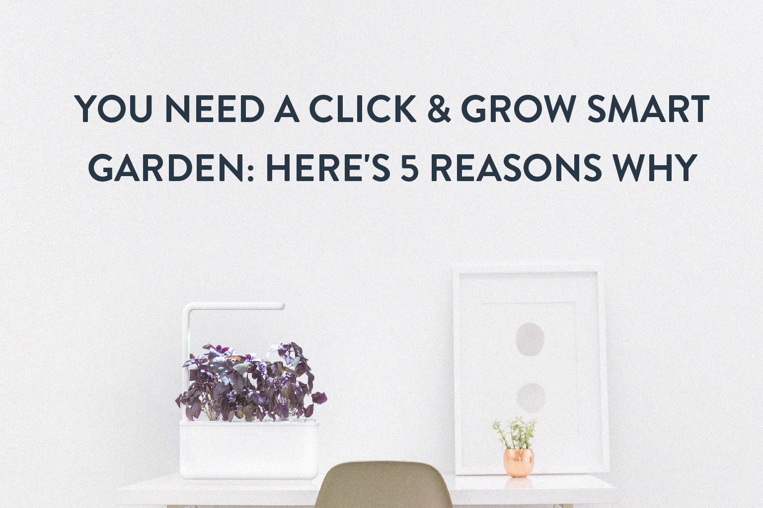 You Need A Click & Grow Smart Garden: Here's 5 Reasons Why
