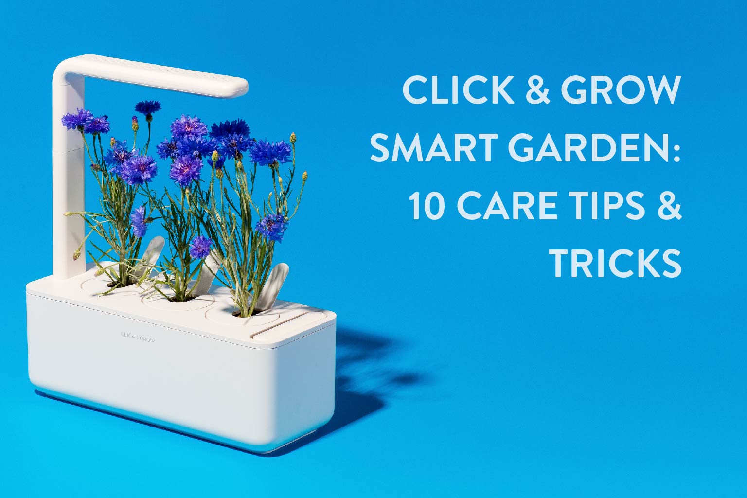 Click & Grow Smart Garden: 10 Care Tips & Tricks