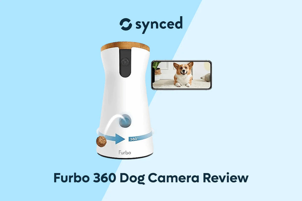 Furbo dog outlet camera setup