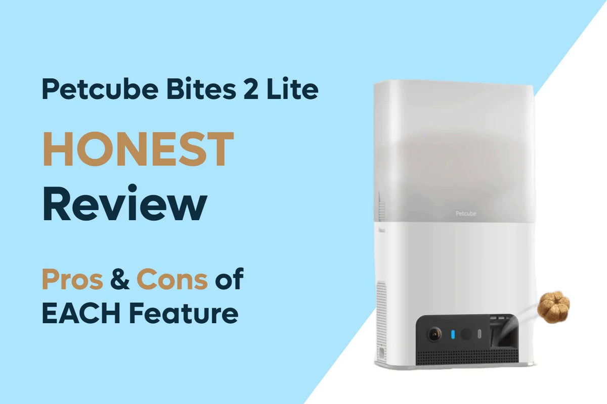 Petcube Bites 2 Lite (HONEST Review of Each Feature) Synced
