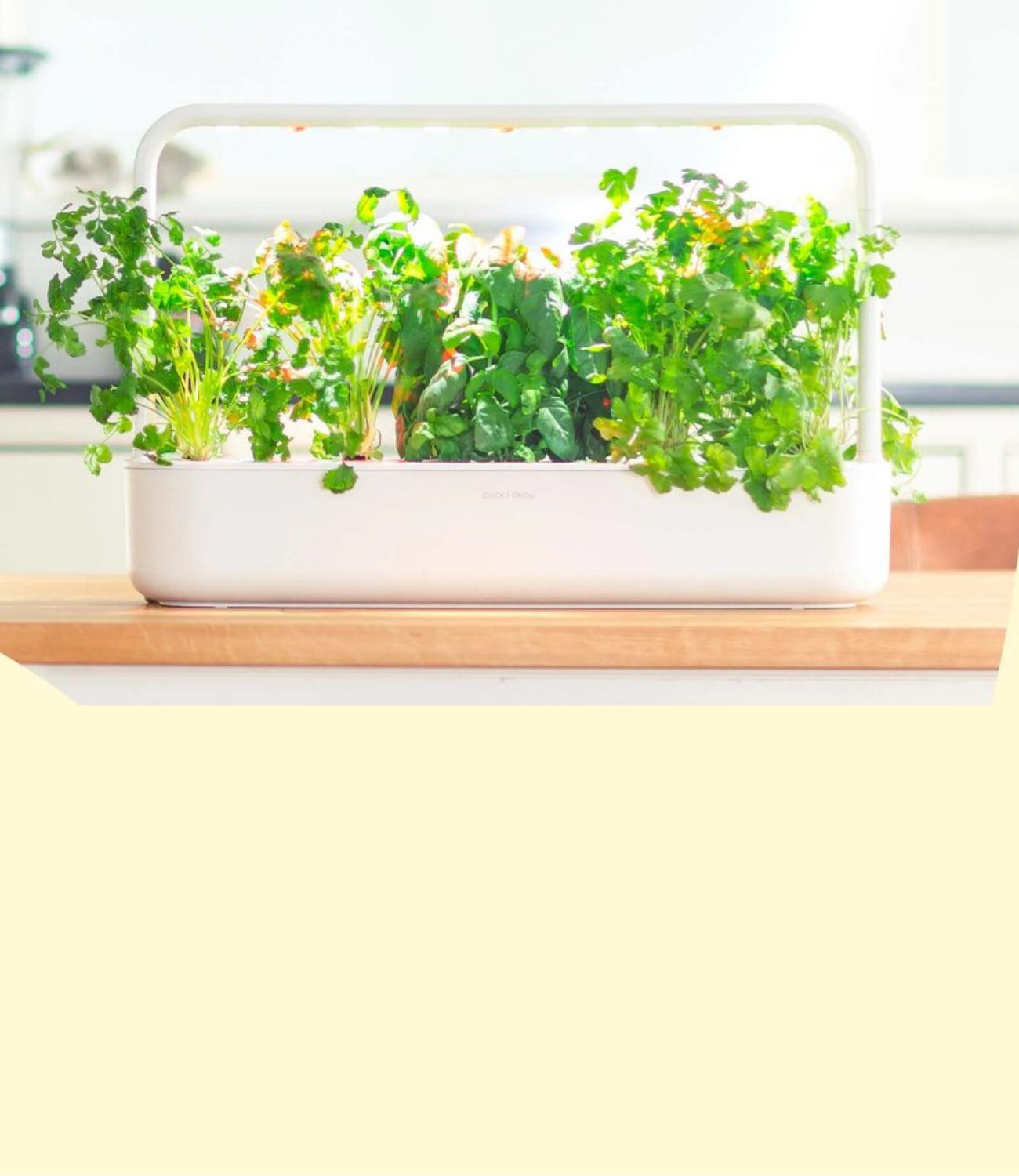 Click Grow Singapore Buy Indoor Smart Gardens